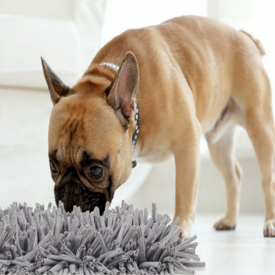 Pet Sniffing Dog Foraging Training Mat